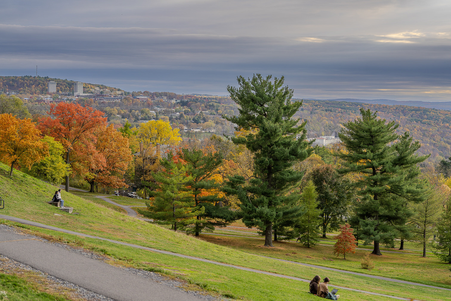 Brilliant Fall